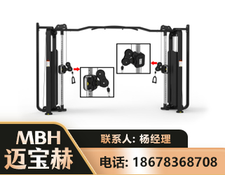 伊犁大飞鸟训练器