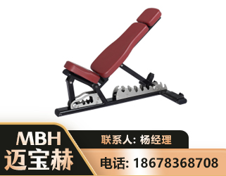 伊犁可调哑铃椅