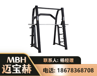 伊犁史密斯机