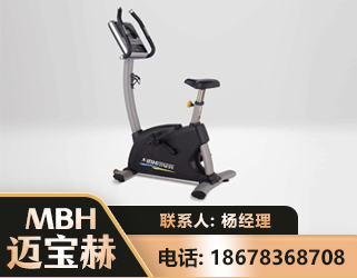 伊犁立式健身车